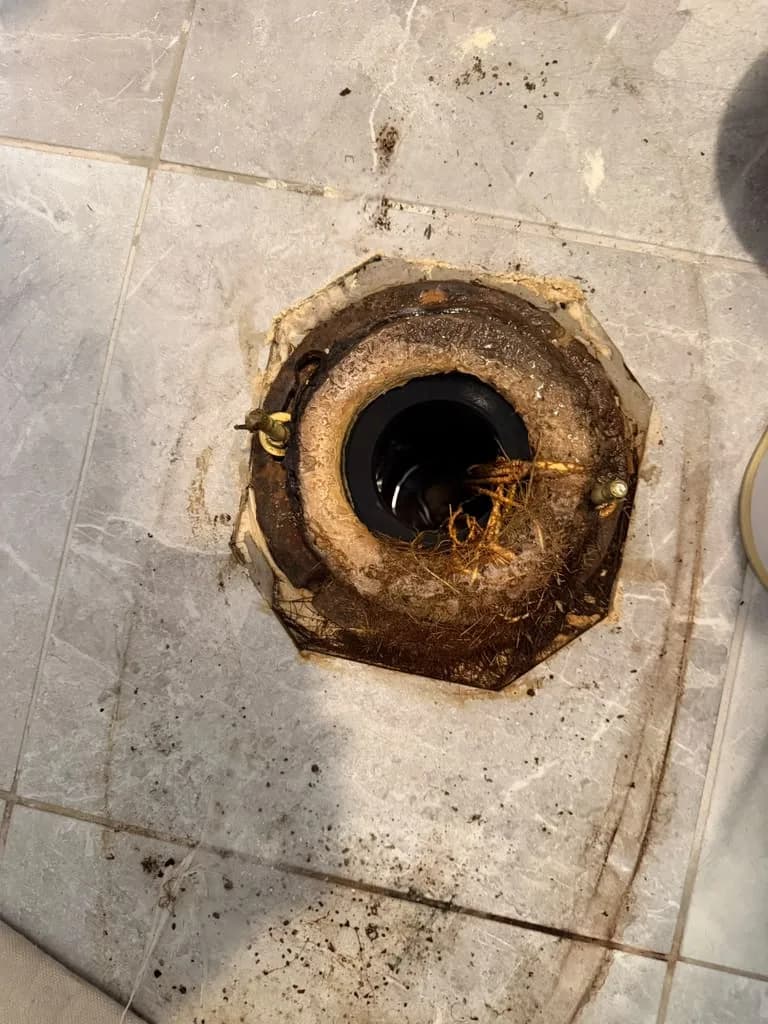 Close-up of a toilet drain opening with tree roots and debris blocking the pipe